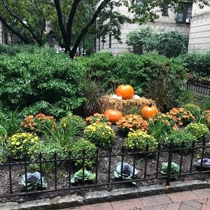 Meet your Posher, Rossi